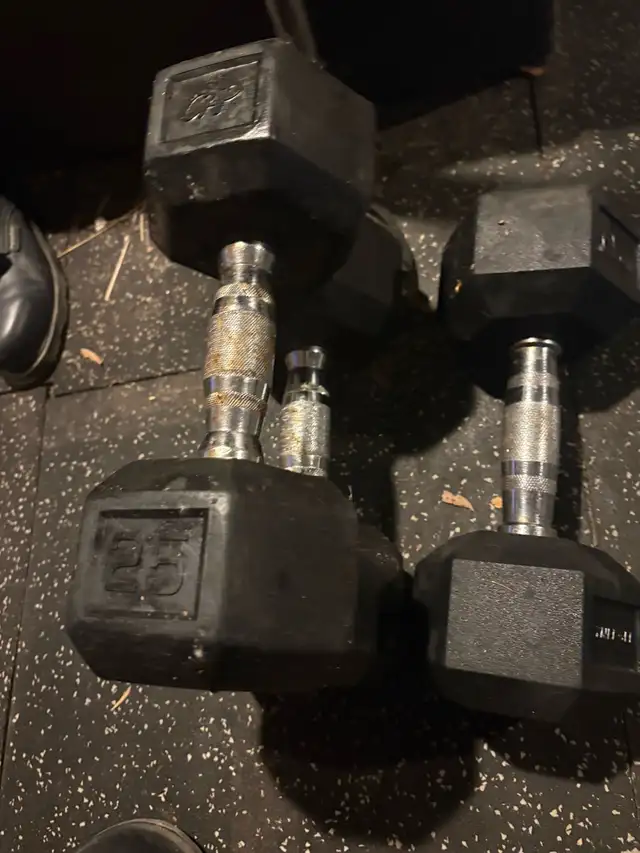 25lbs rubber  dumbbells