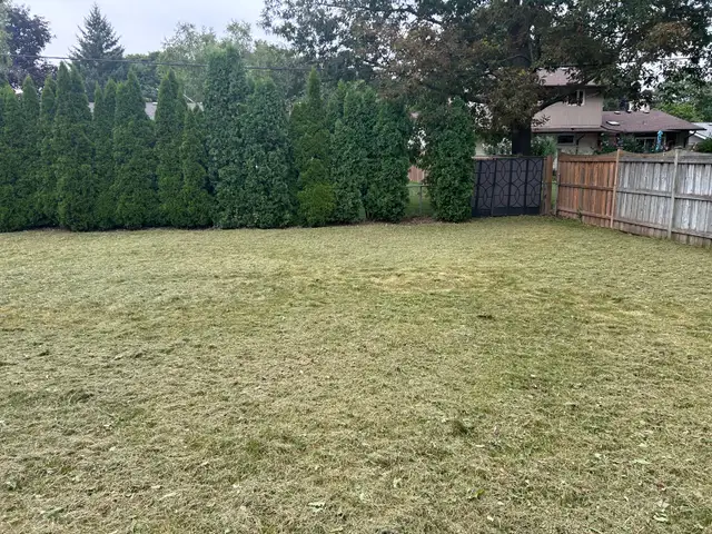 keep your lawn looking perfect