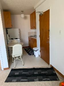 Furnished One Bedrm. suite, Non-Smoking Suite, Eastside Suite - Photo 4