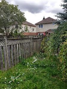 Professional gardening renovations and tree/shrub mainteniance - Photo 3