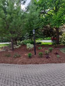 Professional gardening renovations and tree/shrub mainteniance - Photo 6