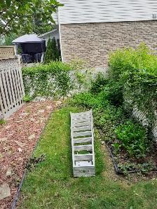 Professional gardening renovations and tree/shrub mainteniance - Photo 7