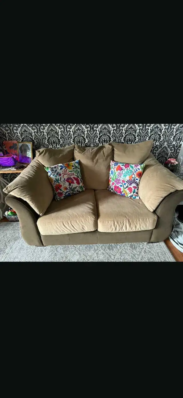 Loveseat for sale -$100