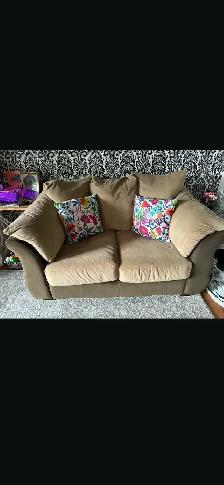 Loveseat for sale -$100