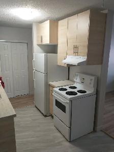 Amber Court  -10966 124 ST - Affordable Luxury 124 St-Must SEE! - Photo 3