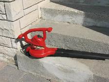 TORO Electric Leaf Blower and Vacuum