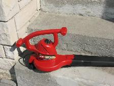 TORO Electric Leaf Blower and Vacuum - Photo 3