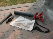 TORO Electric Leaf Blower and Vacuum - Photo 6
