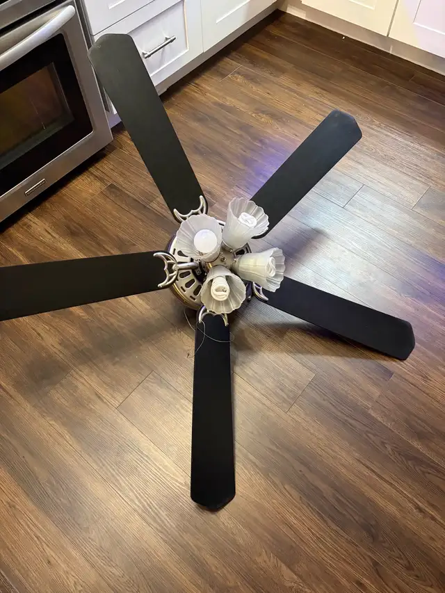 Ceiling Fan 56 inch
