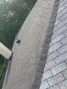 Roof repairs - Photo 6