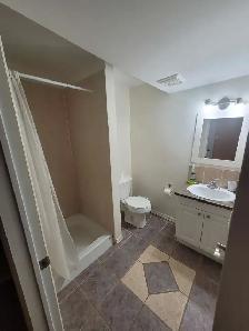 Bright and Spacious Suite For Rent - Photo 5