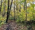 Terrain a vendre de 16,000 pieds 2 au Lac St charles