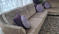Elegant Beige Velvet 2-Piece Sofa Set - Photo 4