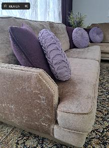 Elegant Beige Velvet 2-Piece Sofa Set - Photo 8