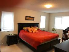 STUNNING NEW NIAGARA FALLS 3 BED 2.5 BATH HOME FOR RENT - Photo 6
