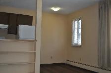 Chinook one bedroom apartment - Photo 6