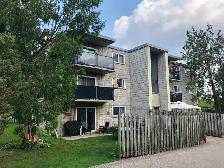 Lovely Studio Apartment for Rent September/October