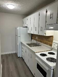 Lovely Studio Apartment for Rent September/October - Photo 3