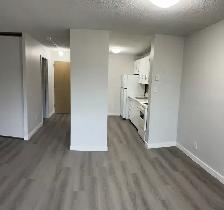 Lovely Studio Apartment for Rent September/October - Photo 4