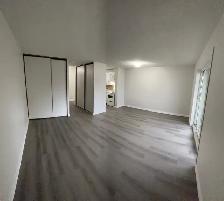Lovely Studio Apartment for Rent September/October - Photo 5