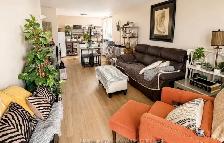 Move-In Ready 2 Bedroom Condo | Pet Friendly | Chatham - Photo 4