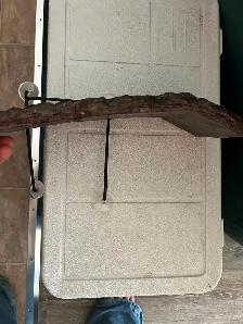 Large turtle dock - Photo 2