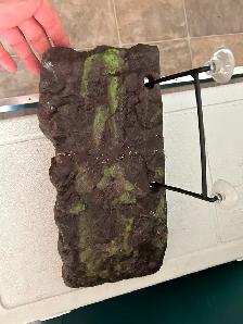 Large turtle dock - Photo 3