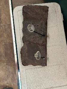 Large turtle dock - Photo 4