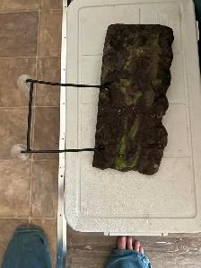 Large turtle dock - Photo 5