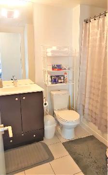 Furnished One Bedroom Suite w/ Walk-In Closet Storage & Parking - Photo 5