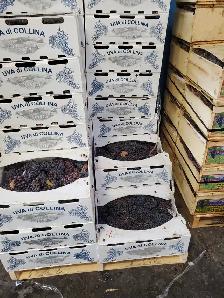 Kit complet pour faire du vin - Photo 6