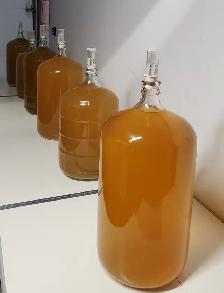 Kit complet pour faire du vin - Photo 8
