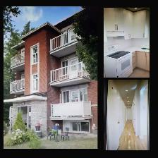 4.5 Fully Renovated Apt in Cartierville - $1600/month