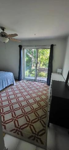 Appartement 3 1/2 disponible a louer Montréal-Nord - Photo 4