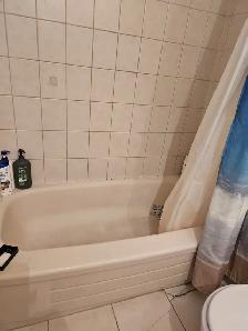 Room for Rent Close To York U, Env.Can, Sanofi Pasteur, UoT Aero - Photo 5
