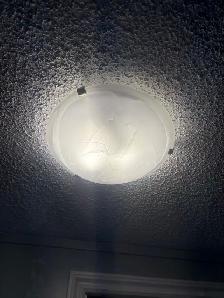 Brushed light fixtures - Photo 3