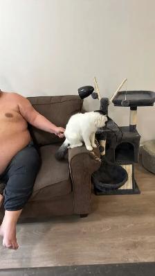 femal cat to a good
