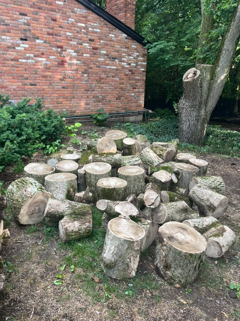 Free Firewood