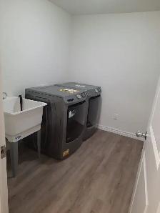 Spacious Basement Apartment - Photo 5