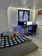 ONE BEDROOM APARTMENT - Photo 2
