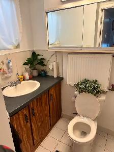 ONE BEDROOM APARTMENT - Photo 8