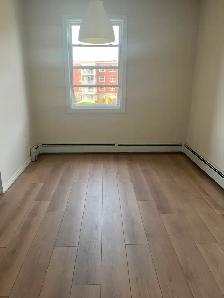 2 bedroom den available for September 1st - Photo 3