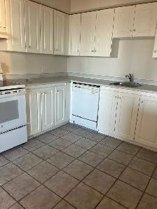 2 bedroom den available for September 1st - Photo 4