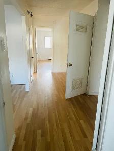 Available 4 1/2 apartment for rent Brossard - Photo 4