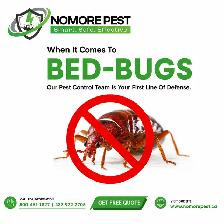 Pest Control Services | FREE Inspection & Quote | 10% OFF - Photo 2