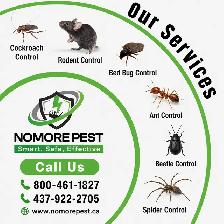 Pest Control Services | FREE Inspection & Quote | 10% OFF - Photo 3