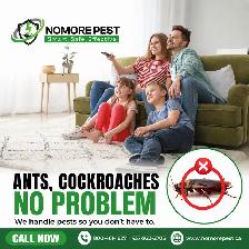 Pest Control Services | FREE Inspection & Quote | 10% OFF - Photo 4