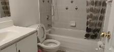 1 berm 1 bath private bsmt unit for rent - Photo 5