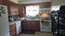 MAIN FLOOR BED ROOMS FOR RENT AT EGLINTON / KENNEDY - Photo 3