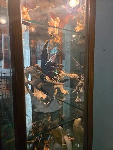 Two 6', 6' Gorgeous Curio Cabinets with 3 Dimmer Settings - Photo 10
